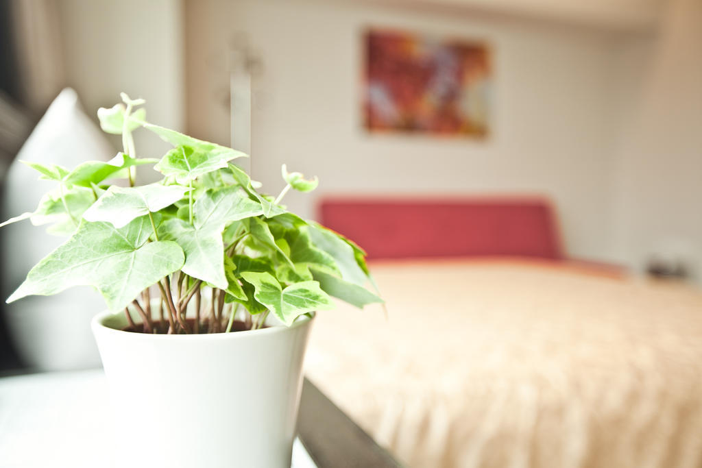 Sodamazon Business Hotel Zhongli Pokój zdjęcie